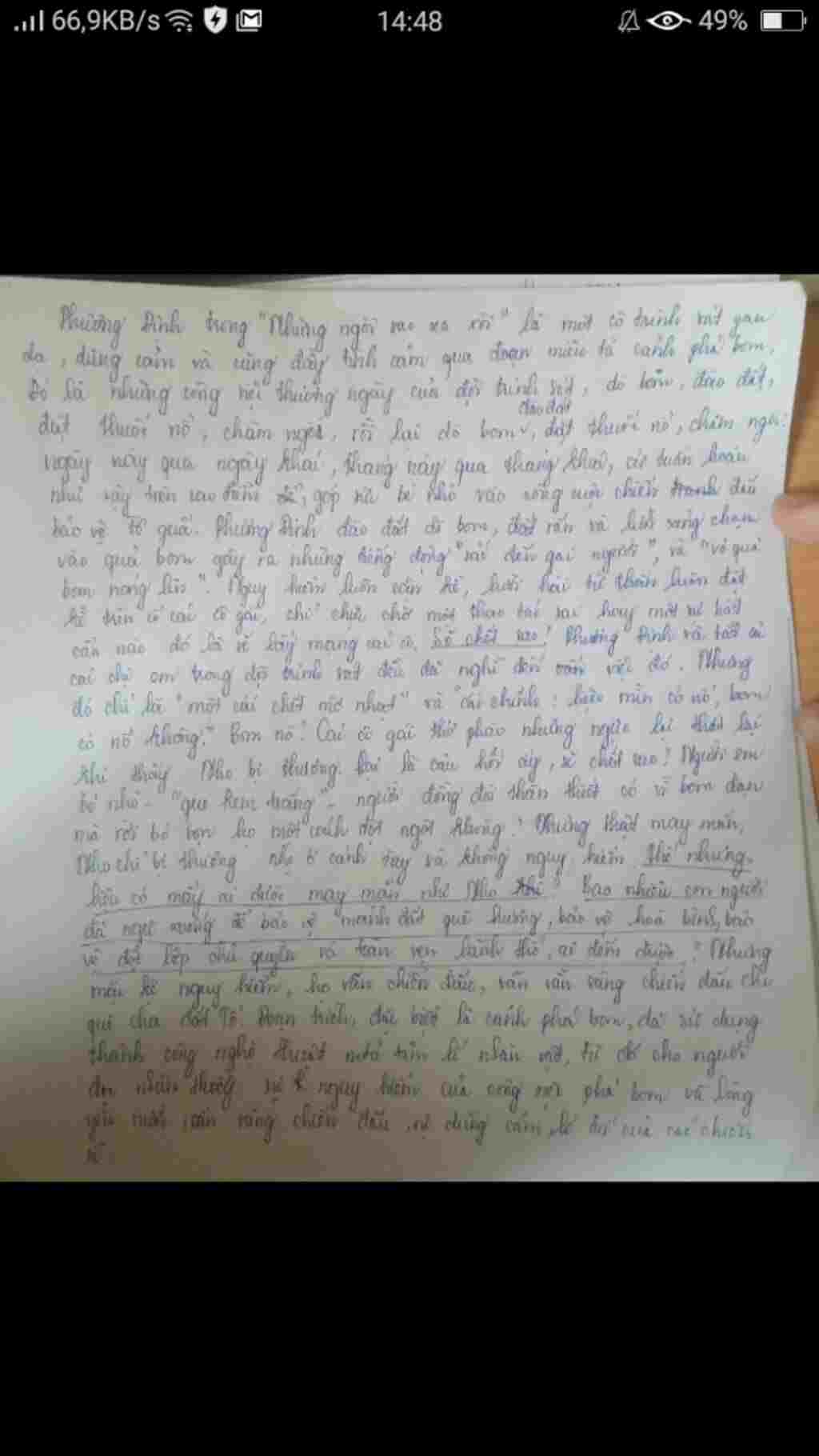 viet-doan-van-phan-tich-tam-li-cua-nhan-vat-phuong-dinh-trong-1-lan-pha-bom