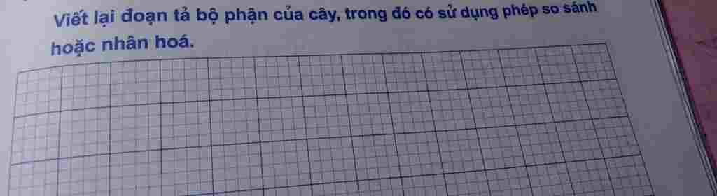 viet-lai-doan-ta-bo-phan-cua-cay-trong-do-co-su-dung-phep-so-sanh-hoac-nhan-hoa-giup-em-lam-bai