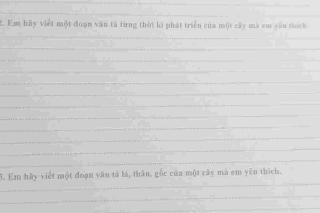 2-em-hay-viet-mot-doan-van-ta-tung-thoi-ki-phat-trien-cua-mot-cay-ma-em-yeu-thich-3-em-hay-viet