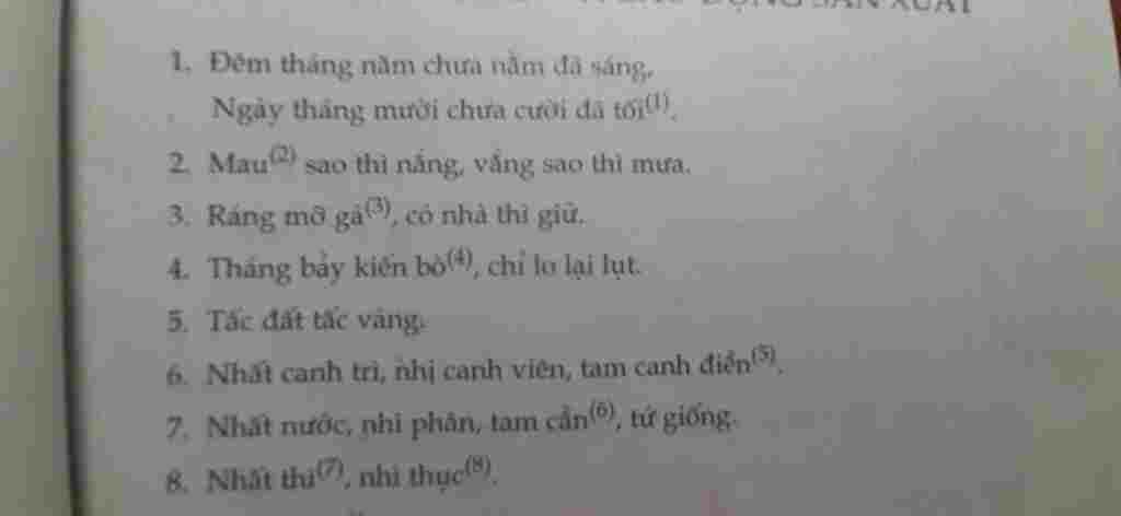 co-so-thuc-tien-cua-kinh-nghiem-neu-trong-cau-tuc-ngu