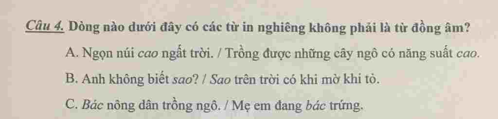 dong-nao-duoi-day-co-cac-tu-in-nghieng-khong-phai-la-tu-dong-am-a-ngon-nui-cao-ngat-troi-trong-d