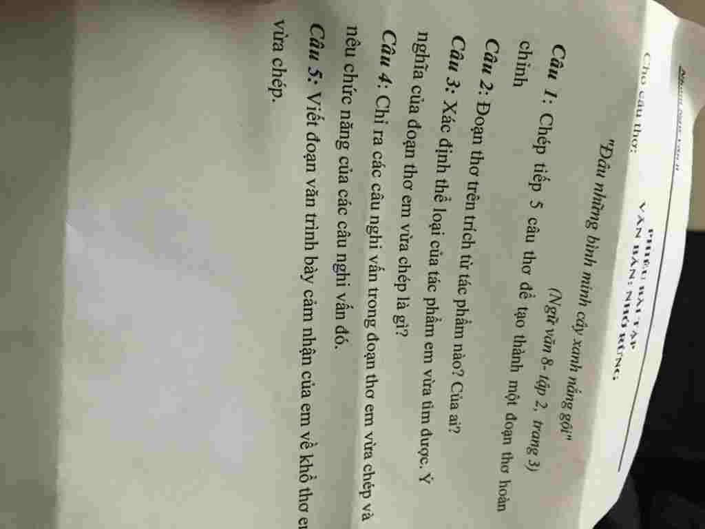 giai-giup-minh-cac-bai-trong-phieu-nay-nhe