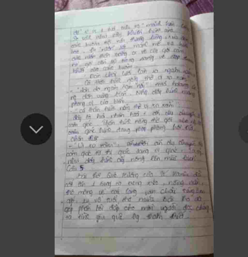 giup-minh-cau-nao-cung-duoc-nha-ca-hai-cau-6-va-7-thi-cang-tot-nha-30-diem-ne-1-5-star-ne-1-cam