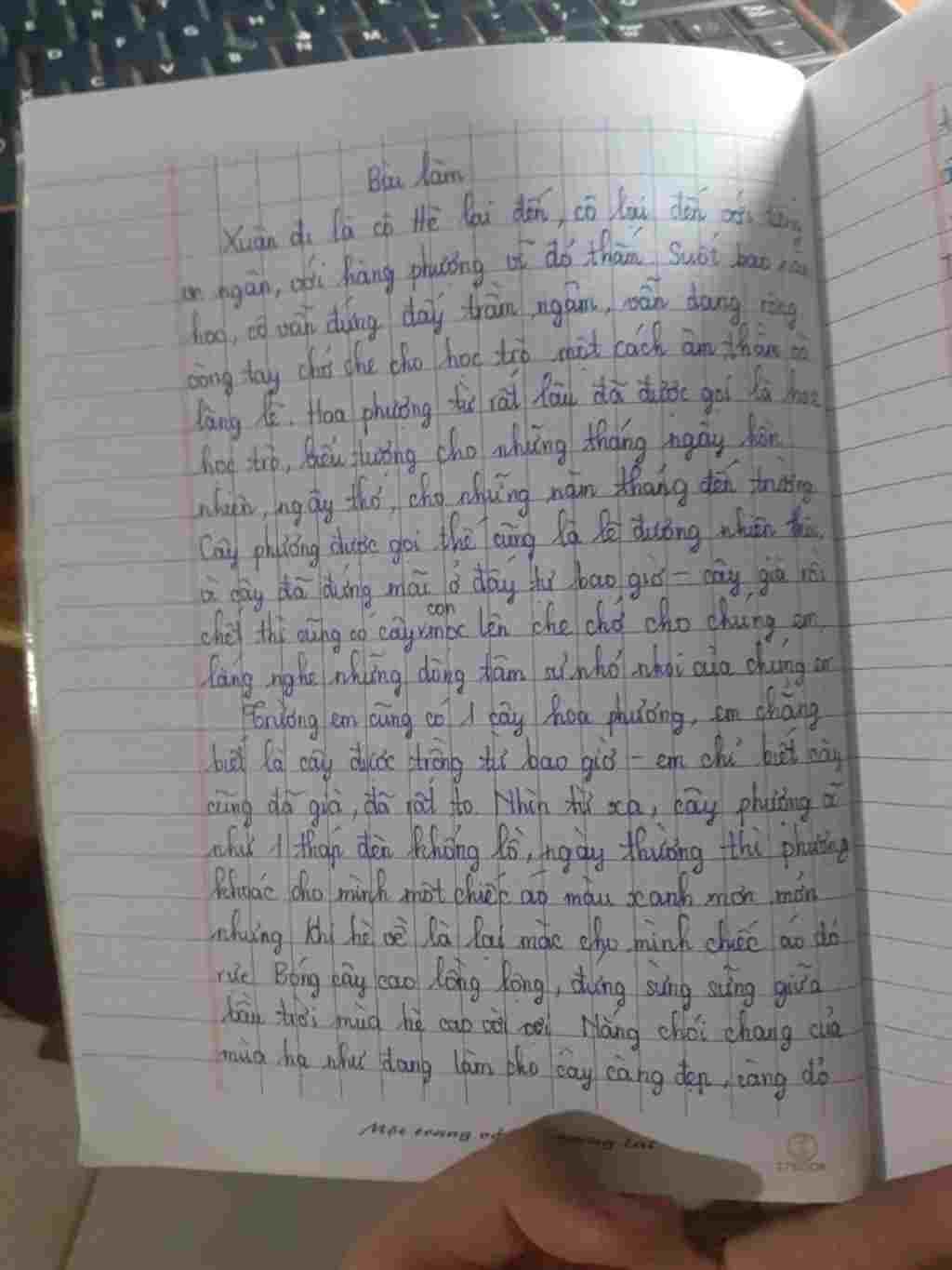 hay-viet-mot-doan-van-ta-cay-hoa-em-yeu-thich-nhat-ko-chep-mang-ngan-thoi-nhung-du-3-phan-la-duo