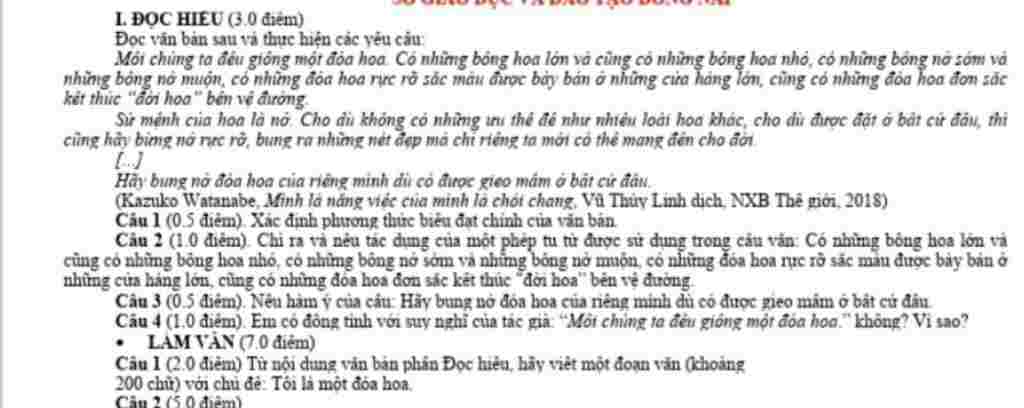 mong-lam-nhanh-ho-e-dang-can-gap-k-can-dai