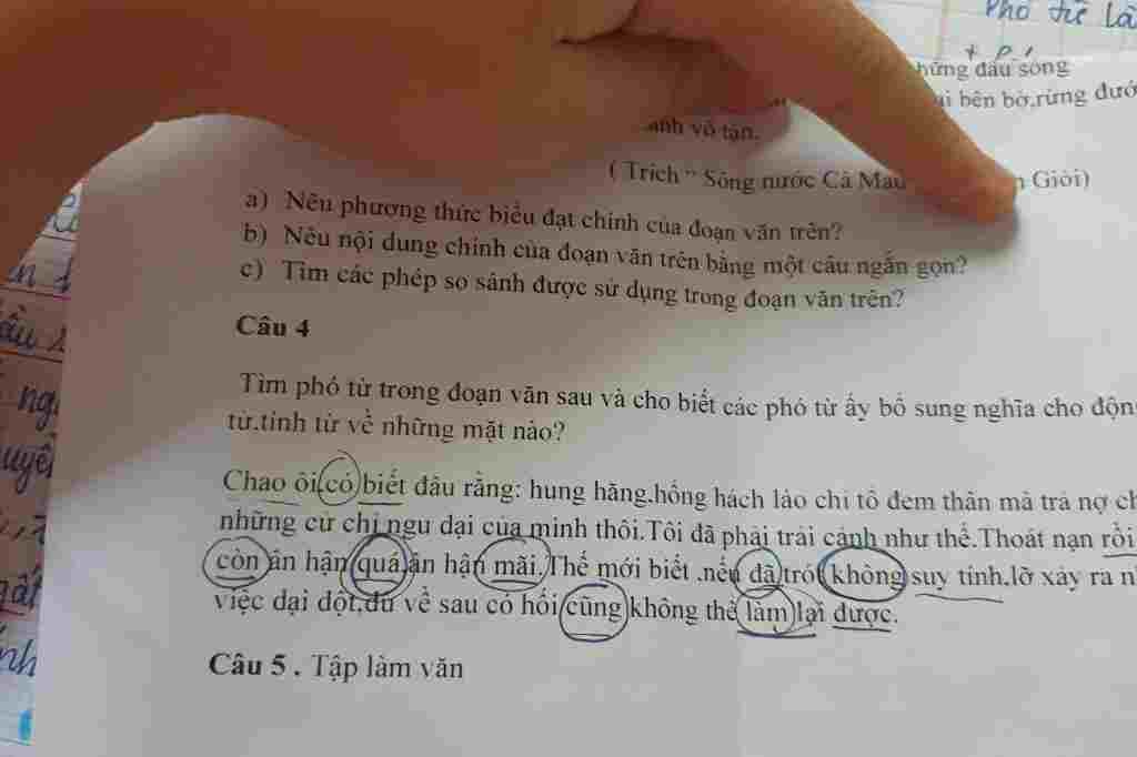pho-tu-la-p-hung-dau-song-i-ben-bo-rung-duo-anh-vo-tan-trich-song-nuoc-ca-mau-n-gioi-a-neu-phuon