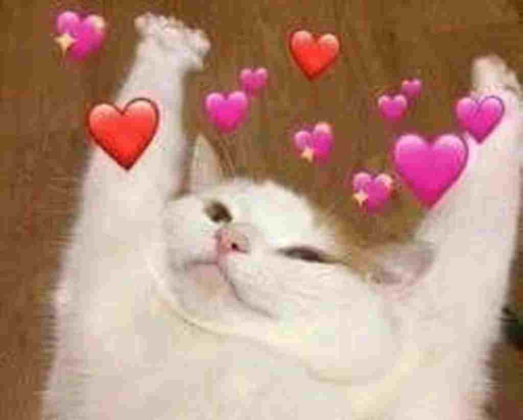 viet-1-doan-van-chuc-minh-nam-moi-zui-ze-nha-minh-chuc-moi-nguoi-nam-moi-zui-ze-hanh-phuc-thanh