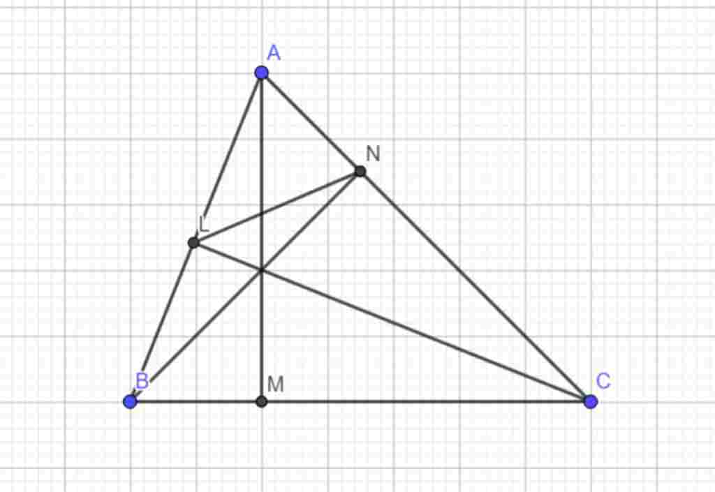 cho-tam-giac-abc-co-3-goc-nhon-co-3-duong-cao-am-bn-cm-a-cm-tg-anl-dong-dang-tg-abc-b-cm-an-bl-c