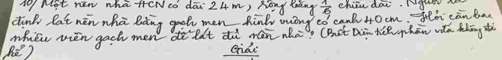mot-nen-nha-hinh-chu-nhat-co-chieu-dai-24m-rong-bang-1-6-chieu-dai-nguoi-ta-dinh-lat-nen-nha-ban